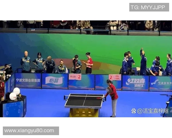 北京乒乓球队技术争议引发热议球迷观点各异探讨未来发展方向